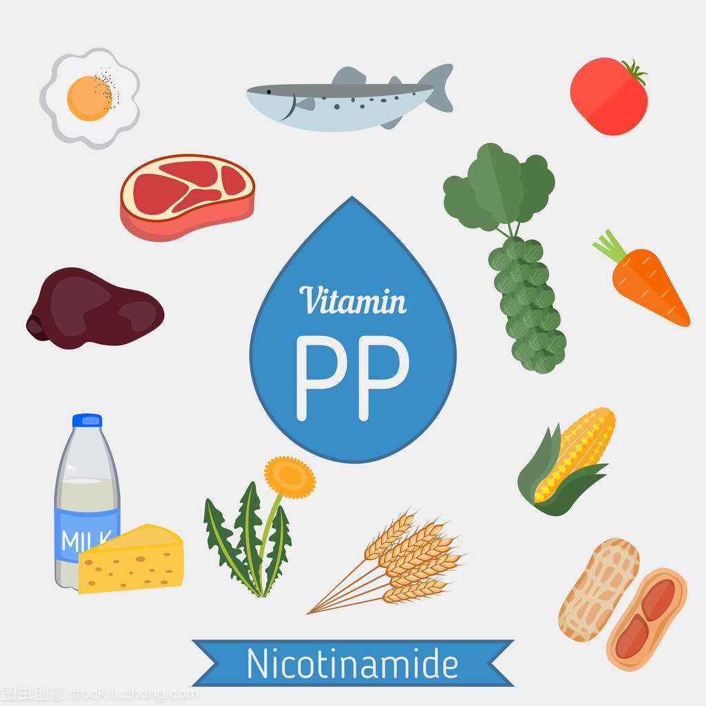 维生素Pp（烟酰胺）全面解析 数据图表与科学指南